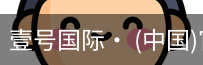 壹号国际